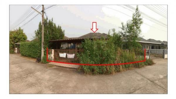 ����ӻҧ �� panaya.opalopal