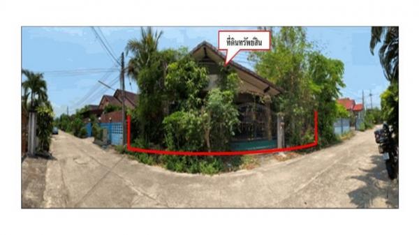 ����ӻҧ �� panaya.opalopal