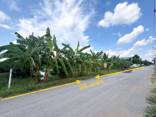 �����ҹ� �� zionasset1