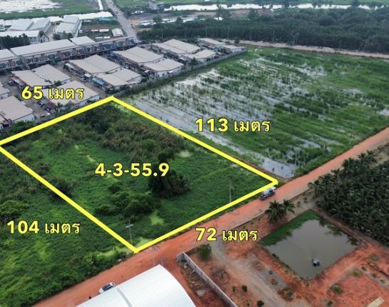 ที่ดิน 5 ไร่ ที่ดิน 5 ไร่