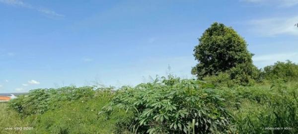 ������ͧ �� ahousepost9