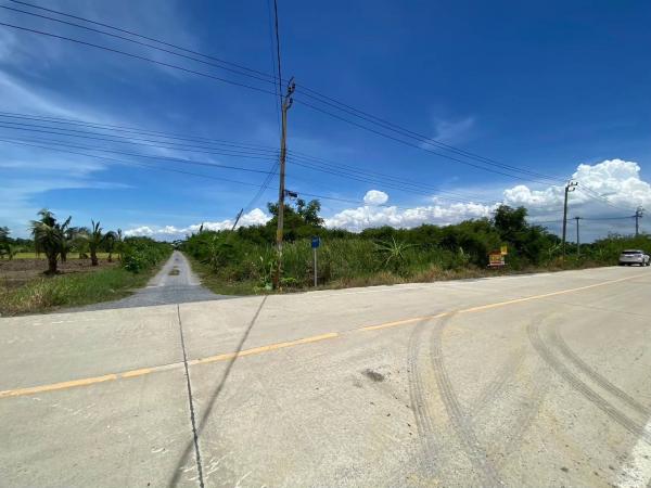 ���Թ �Դ����͹��յ 203 ���ҧ��