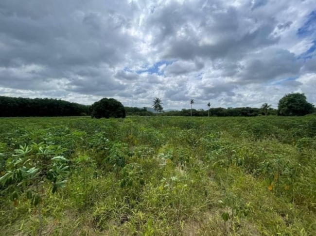 �ź��� �� A House property