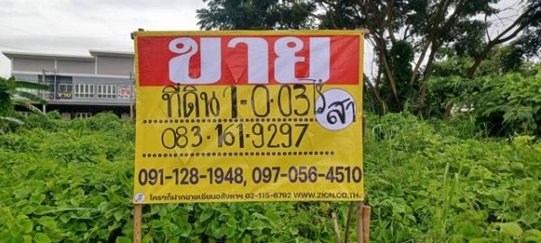 �͹�� �� zionasset1