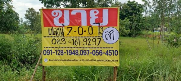 ������ �� zionasset1