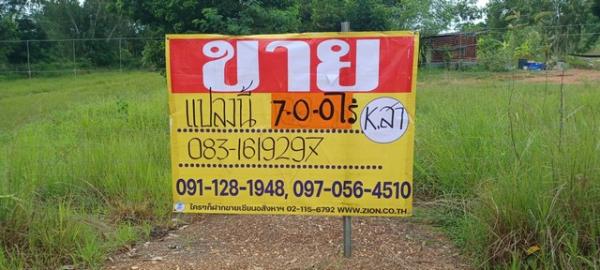 ������ �� zionasset1