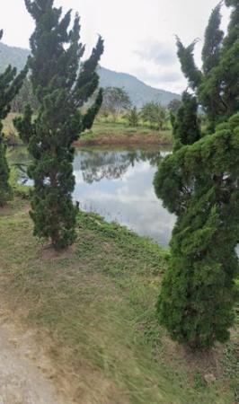 ���Թ ���