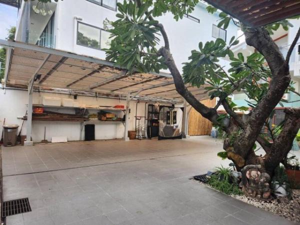 ��º�ҹ ���Ե