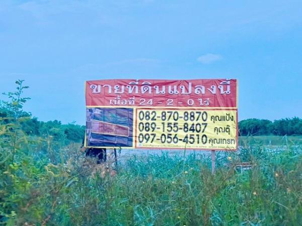 ��ا෾ �� zionasset1