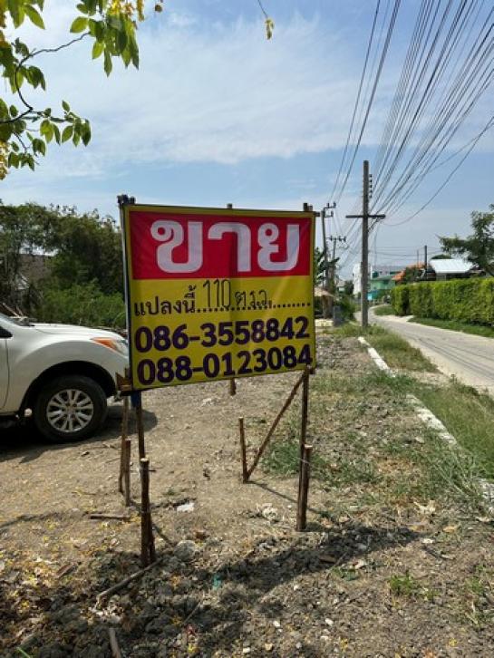 �ǹ��ǧ �� zionasset1