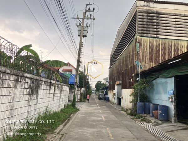 �ҧ�͹ �� Kong property