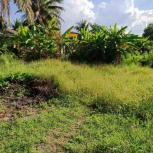 ��� ���Թ �٧�Թ