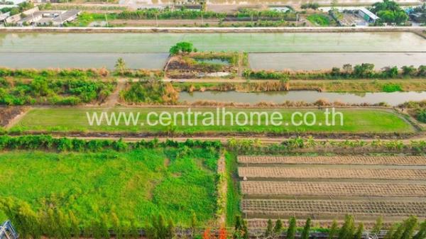 �ù��� �� ����ѷ �繷��� ��� ���;������ �ӡѴ