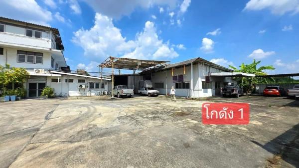 �չ���� �� 1000property