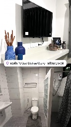 ;鹷 ط