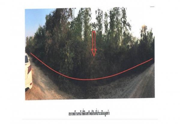 ����ӻҧ �� panaya.opalopal