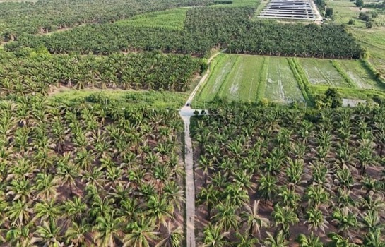 �ź��� �� A House property