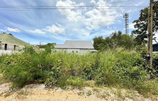 ที่ดิน pattaya ที่ดิน pattaya