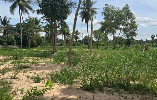 ���Թ�ҧ���ا �ź���