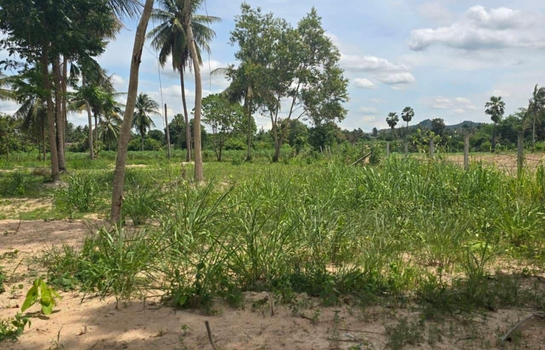 ���Թ�ź��� �ź���