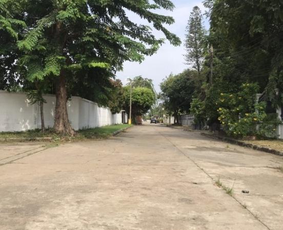 ขายที่ดิน Paradise ขายที่ดิน Paradise