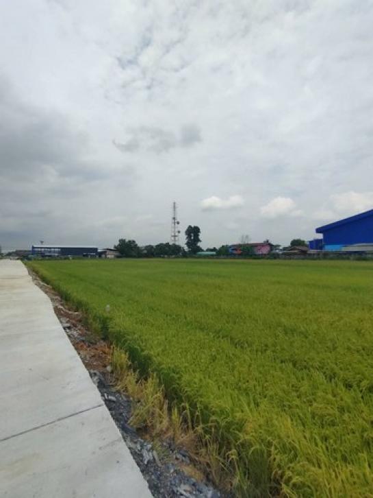 ���ͧ �� kea