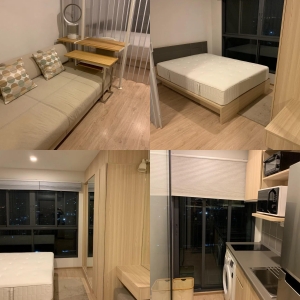 ��ºҧ�� �� All Living