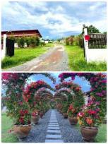 ��º�ҹ �Ҥһ�С�Ȣ�� 6,000,000 �ҷ