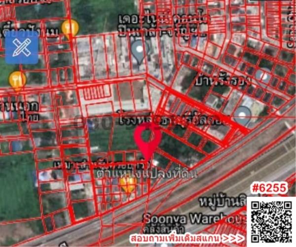 �ҧ���� �� All Living