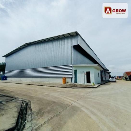 ⡴ѧ ÃÐÂͧ ⡴ѧ ÃÐÂͧ