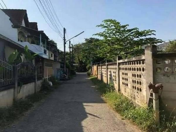 ���Թ���ͧ �� onanong khumaphao