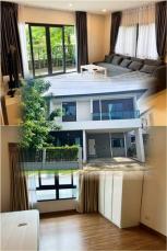 �����Һ�ҹ �Ҥһ�С�������� 54,999 �ҷ/��͹