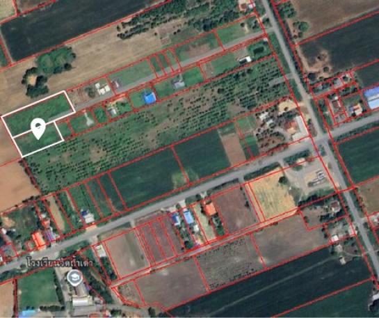 �����к��� �� Estate Corner