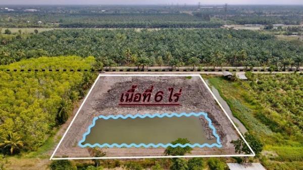 �����ҹ� �� Theproperty