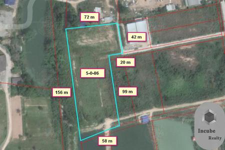 ���Թ���ͧ �� incube