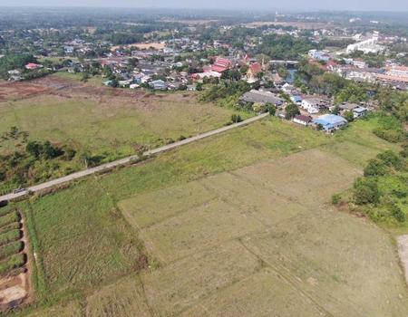 �ѹ����� �� incube