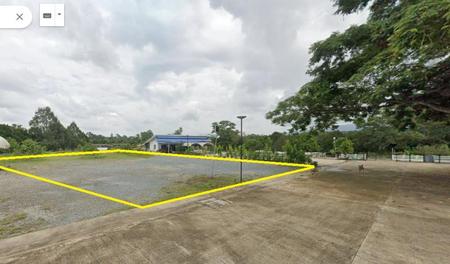 �ѹ����� �� incube