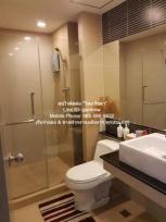 �͹� ���⢹� 44 ���ҧ����
