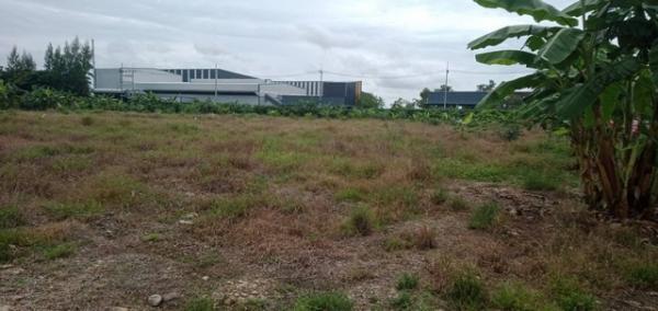 �ҡ �� Noname2023