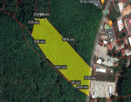 ��ҧ ���� �� incube