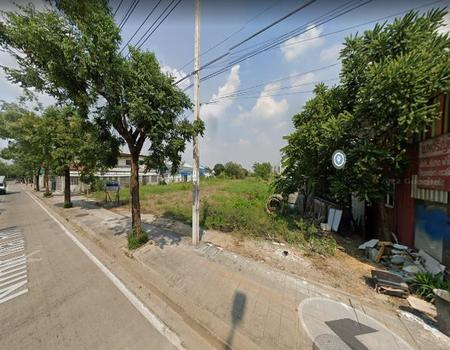 ���١�� �� incube