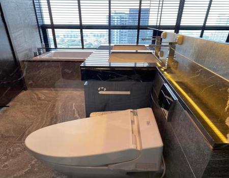 ��¤�ͧ�� �� incube