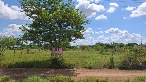 ������ �� zionasset1