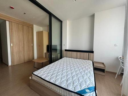 �Ҵ����� �� incube