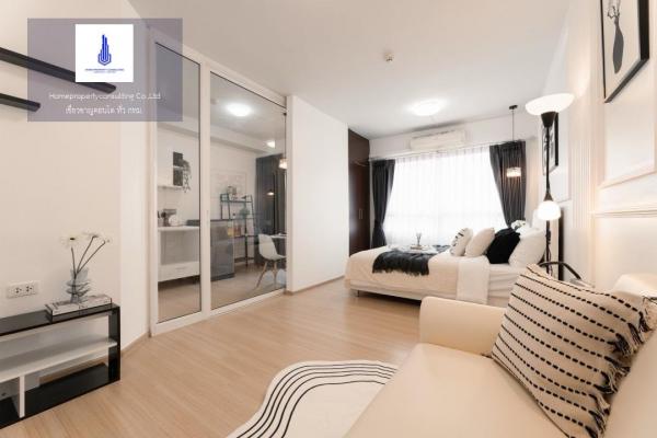 �͹����ͧ �� homeprop34