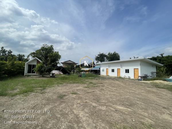 �ҧ���� �� Kong property