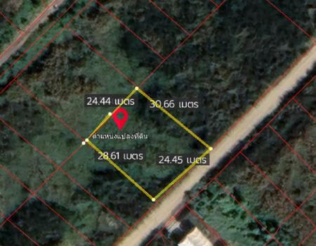 �ҧ��� �� incube