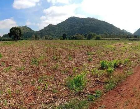 �ҡ��ͧ �� incube