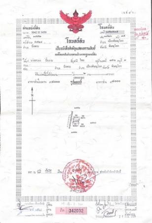 ��ɳ��š �� sopa