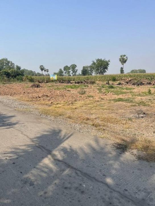 ��ɳ��š �� sopa